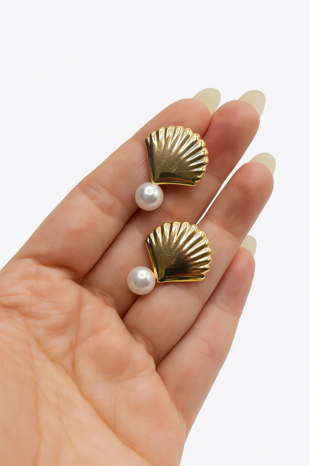 Shells earrings