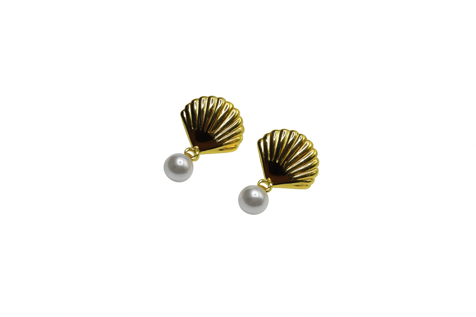 Shells earrings