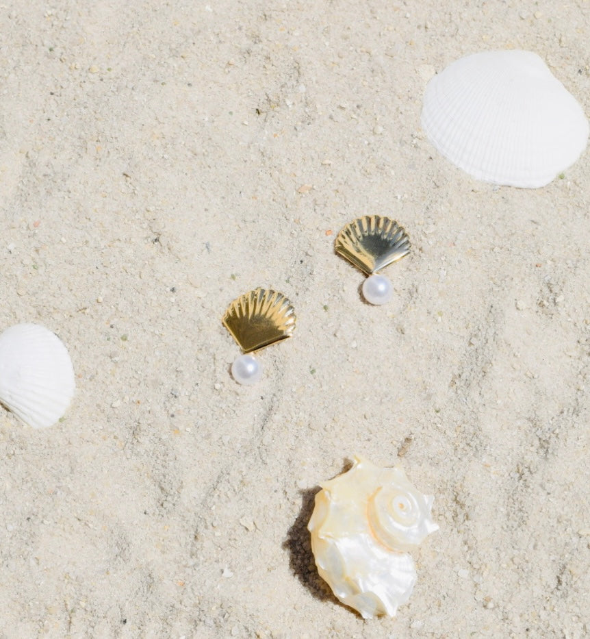Shells earrings